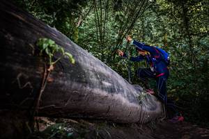 BIB: 
                            <button type="button" onclick="openModal(13519737)" class="btn btn-primary btn-sm float-right btn-popup" data-toggle="modal" data-target=".modal-high-quality">
                        <i class="fas fa-shopping-cart"></i> Add to Cart
                    </button>
                                            <button type="button" onclick="isThisMe(13519737, true)" class="btn btn-success btn-sm float-right btn-popup btn-isme hidden" data-toggle="tooltip" data-placement="bottom" title="นี่คือรูปของคุณใช่ไหม คลิกที่นี่เพื่อเอาเข้าอัลบั้ม">
                        <i class="fas fa-plus"></i> Add to album
                    </button>
                    <button type="button" onclick="isThisMe(13519737, false)" class="btn btn-warning btn-sm float-right btn-popup btn-isnotme hidden">
                        <i class="fas fa-ban"></i> Remove from album
                    </button>