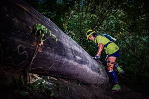 BIB: 
                            <button type="button" onclick="openModal(13519238)" class="btn btn-primary btn-sm float-right btn-popup" data-toggle="modal" data-target=".modal-high-quality">
                        <i class="fas fa-shopping-cart"></i> Add to Cart
                    </button>
                                            <button type="button" onclick="isThisMe(13519238, true)" class="btn btn-success btn-sm float-right btn-popup btn-isme hidden" data-toggle="tooltip" data-placement="bottom" title="นี่คือรูปของคุณใช่ไหม คลิกที่นี่เพื่อเอาเข้าอัลบั้ม">
                        <i class="fas fa-plus"></i> Add to album
                    </button>
                    <button type="button" onclick="isThisMe(13519238, false)" class="btn btn-warning btn-sm float-right btn-popup btn-isnotme hidden">
                        <i class="fas fa-ban"></i> Remove from album
                    </button>