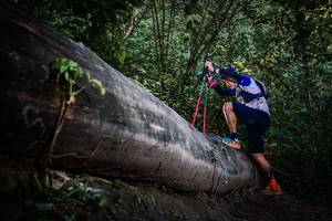 BIB: 
                            <button type="button" onclick="openModal(13519495)" class="btn btn-primary btn-sm float-right btn-popup" data-toggle="modal" data-target=".modal-high-quality">
                        <i class="fas fa-shopping-cart"></i> Add to Cart
                    </button>
                                            <button type="button" onclick="isThisMe(13519495, true)" class="btn btn-success btn-sm float-right btn-popup btn-isme hidden" data-toggle="tooltip" data-placement="bottom" title="นี่คือรูปของคุณใช่ไหม คลิกที่นี่เพื่อเอาเข้าอัลบั้ม">
                        <i class="fas fa-plus"></i> Add to album
                    </button>
                    <button type="button" onclick="isThisMe(13519495, false)" class="btn btn-warning btn-sm float-right btn-popup btn-isnotme hidden">
                        <i class="fas fa-ban"></i> Remove from album
                    </button>