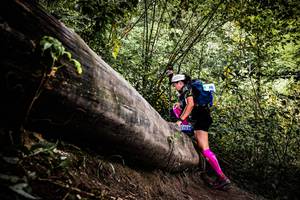 BIB: 
                            <button type="button" onclick="openModal(13525866)" class="btn btn-primary btn-sm float-right btn-popup" data-toggle="modal" data-target=".modal-high-quality">
                        <i class="fas fa-shopping-cart"></i> Add to Cart
                    </button>
                                            <button type="button" onclick="isThisMe(13525866, true)" class="btn btn-success btn-sm float-right btn-popup btn-isme hidden" data-toggle="tooltip" data-placement="bottom" title="นี่คือรูปของคุณใช่ไหม คลิกที่นี่เพื่อเอาเข้าอัลบั้ม">
                        <i class="fas fa-plus"></i> Add to album
                    </button>
                    <button type="button" onclick="isThisMe(13525866, false)" class="btn btn-warning btn-sm float-right btn-popup btn-isnotme hidden">
                        <i class="fas fa-ban"></i> Remove from album
                    </button>