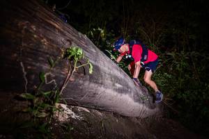 BIB: 
                            <button type="button" onclick="openModal(13517674)" class="btn btn-primary btn-sm float-right btn-popup" data-toggle="modal" data-target=".modal-high-quality">
                        <i class="fas fa-shopping-cart"></i> Add to Cart
                    </button>
                                            <button type="button" onclick="isThisMe(13517674, true)" class="btn btn-success btn-sm float-right btn-popup btn-isme hidden" data-toggle="tooltip" data-placement="bottom" title="นี่คือรูปของคุณใช่ไหม คลิกที่นี่เพื่อเอาเข้าอัลบั้ม">
                        <i class="fas fa-plus"></i> Add to album
                    </button>
                    <button type="button" onclick="isThisMe(13517674, false)" class="btn btn-warning btn-sm float-right btn-popup btn-isnotme hidden">
                        <i class="fas fa-ban"></i> Remove from album
                    </button>