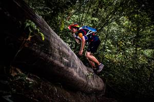 BIB: 
                            <button type="button" onclick="openModal(13525497)" class="btn btn-primary btn-sm float-right btn-popup" data-toggle="modal" data-target=".modal-high-quality">
                        <i class="fas fa-shopping-cart"></i> Add to Cart
                    </button>
                                            <button type="button" onclick="isThisMe(13525497, true)" class="btn btn-success btn-sm float-right btn-popup btn-isme hidden" data-toggle="tooltip" data-placement="bottom" title="นี่คือรูปของคุณใช่ไหม คลิกที่นี่เพื่อเอาเข้าอัลบั้ม">
                        <i class="fas fa-plus"></i> Add to album
                    </button>
                    <button type="button" onclick="isThisMe(13525497, false)" class="btn btn-warning btn-sm float-right btn-popup btn-isnotme hidden">
                        <i class="fas fa-ban"></i> Remove from album
                    </button>