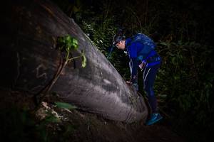 BIB: 
                            <button type="button" onclick="openModal(13518288)" class="btn btn-primary btn-sm float-right btn-popup" data-toggle="modal" data-target=".modal-high-quality">
                        <i class="fas fa-shopping-cart"></i> Add to Cart
                    </button>
                                            <button type="button" onclick="isThisMe(13518288, true)" class="btn btn-success btn-sm float-right btn-popup btn-isme hidden" data-toggle="tooltip" data-placement="bottom" title="นี่คือรูปของคุณใช่ไหม คลิกที่นี่เพื่อเอาเข้าอัลบั้ม">
                        <i class="fas fa-plus"></i> Add to album
                    </button>
                    <button type="button" onclick="isThisMe(13518288, false)" class="btn btn-warning btn-sm float-right btn-popup btn-isnotme hidden">
                        <i class="fas fa-ban"></i> Remove from album
                    </button>