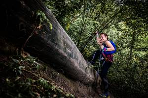 BIB: 
                            <button type="button" onclick="openModal(13524110)" class="btn btn-primary btn-sm float-right btn-popup" data-toggle="modal" data-target=".modal-high-quality">
                        <i class="fas fa-shopping-cart"></i> Add to Cart
                    </button>
                                            <button type="button" onclick="isThisMe(13524110, true)" class="btn btn-success btn-sm float-right btn-popup btn-isme hidden" data-toggle="tooltip" data-placement="bottom" title="นี่คือรูปของคุณใช่ไหม คลิกที่นี่เพื่อเอาเข้าอัลบั้ม">
                        <i class="fas fa-plus"></i> Add to album
                    </button>
                    <button type="button" onclick="isThisMe(13524110, false)" class="btn btn-warning btn-sm float-right btn-popup btn-isnotme hidden">
                        <i class="fas fa-ban"></i> Remove from album
                    </button>