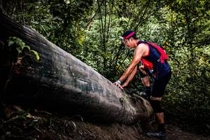 BIB: 
                            <button type="button" onclick="openModal(13525803)" class="btn btn-primary btn-sm float-right btn-popup" data-toggle="modal" data-target=".modal-high-quality">
                        <i class="fas fa-shopping-cart"></i> Add to Cart
                    </button>
                                            <button type="button" onclick="isThisMe(13525803, true)" class="btn btn-success btn-sm float-right btn-popup btn-isme hidden" data-toggle="tooltip" data-placement="bottom" title="นี่คือรูปของคุณใช่ไหม คลิกที่นี่เพื่อเอาเข้าอัลบั้ม">
                        <i class="fas fa-plus"></i> Add to album
                    </button>
                    <button type="button" onclick="isThisMe(13525803, false)" class="btn btn-warning btn-sm float-right btn-popup btn-isnotme hidden">
                        <i class="fas fa-ban"></i> Remove from album
                    </button>