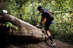 BIB: 
                            <button type="button" onclick="openModal(13525946)" class="btn btn-primary btn-sm float-right btn-popup" data-toggle="modal" data-target=".modal-high-quality">
                        <i class="fas fa-shopping-cart"></i> Add to Cart
                    </button>
                                            <button type="button" onclick="isThisMe(13525946, true)" class="btn btn-success btn-sm float-right btn-popup btn-isme hidden" data-toggle="tooltip" data-placement="bottom" title="นี่คือรูปของคุณใช่ไหม คลิกที่นี่เพื่อเอาเข้าอัลบั้ม">
                        <i class="fas fa-plus"></i> Add to album
                    </button>
                    <button type="button" onclick="isThisMe(13525946, false)" class="btn btn-warning btn-sm float-right btn-popup btn-isnotme hidden">
                        <i class="fas fa-ban"></i> Remove from album
                    </button>