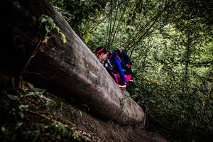 BIB: 
                            <button type="button" onclick="openModal(13523901)" class="btn btn-primary btn-sm float-right btn-popup" data-toggle="modal" data-target=".modal-high-quality">
                        <i class="fas fa-shopping-cart"></i> Add to Cart
                    </button>
                                            <button type="button" onclick="isThisMe(13523901, true)" class="btn btn-success btn-sm float-right btn-popup btn-isme hidden" data-toggle="tooltip" data-placement="bottom" title="นี่คือรูปของคุณใช่ไหม คลิกที่นี่เพื่อเอาเข้าอัลบั้ม">
                        <i class="fas fa-plus"></i> Add to album
                    </button>
                    <button type="button" onclick="isThisMe(13523901, false)" class="btn btn-warning btn-sm float-right btn-popup btn-isnotme hidden">
                        <i class="fas fa-ban"></i> Remove from album
                    </button>