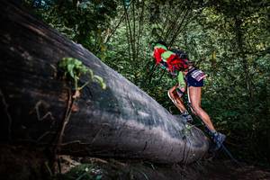 BIB: 
                            <button type="button" onclick="openModal(13519754)" class="btn btn-primary btn-sm float-right btn-popup" data-toggle="modal" data-target=".modal-high-quality">
                        <i class="fas fa-shopping-cart"></i> Add to Cart
                    </button>
                                            <button type="button" onclick="isThisMe(13519754, true)" class="btn btn-success btn-sm float-right btn-popup btn-isme hidden" data-toggle="tooltip" data-placement="bottom" title="นี่คือรูปของคุณใช่ไหม คลิกที่นี่เพื่อเอาเข้าอัลบั้ม">
                        <i class="fas fa-plus"></i> Add to album
                    </button>
                    <button type="button" onclick="isThisMe(13519754, false)" class="btn btn-warning btn-sm float-right btn-popup btn-isnotme hidden">
                        <i class="fas fa-ban"></i> Remove from album
                    </button>