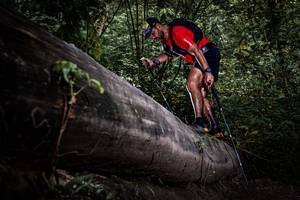 BIB: 
                            <button type="button" onclick="openModal(13522738)" class="btn btn-primary btn-sm float-right btn-popup" data-toggle="modal" data-target=".modal-high-quality">
                        <i class="fas fa-shopping-cart"></i> Add to Cart
                    </button>
                                            <button type="button" onclick="isThisMe(13522738, true)" class="btn btn-success btn-sm float-right btn-popup btn-isme hidden" data-toggle="tooltip" data-placement="bottom" title="นี่คือรูปของคุณใช่ไหม คลิกที่นี่เพื่อเอาเข้าอัลบั้ม">
                        <i class="fas fa-plus"></i> Add to album
                    </button>
                    <button type="button" onclick="isThisMe(13522738, false)" class="btn btn-warning btn-sm float-right btn-popup btn-isnotme hidden">
                        <i class="fas fa-ban"></i> Remove from album
                    </button>