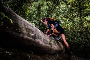 BIB: 
                            <button type="button" onclick="openModal(13525696)" class="btn btn-primary btn-sm float-right btn-popup" data-toggle="modal" data-target=".modal-high-quality">
                        <i class="fas fa-shopping-cart"></i> Add to Cart
                    </button>
                                            <button type="button" onclick="isThisMe(13525696, true)" class="btn btn-success btn-sm float-right btn-popup btn-isme hidden" data-toggle="tooltip" data-placement="bottom" title="นี่คือรูปของคุณใช่ไหม คลิกที่นี่เพื่อเอาเข้าอัลบั้ม">
                        <i class="fas fa-plus"></i> Add to album
                    </button>
                    <button type="button" onclick="isThisMe(13525696, false)" class="btn btn-warning btn-sm float-right btn-popup btn-isnotme hidden">
                        <i class="fas fa-ban"></i> Remove from album
                    </button>