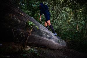 BIB: 
                            <button type="button" onclick="openModal(13519398)" class="btn btn-primary btn-sm float-right btn-popup" data-toggle="modal" data-target=".modal-high-quality">
                        <i class="fas fa-shopping-cart"></i> Add to Cart
                    </button>
                                            <button type="button" onclick="isThisMe(13519398, true)" class="btn btn-success btn-sm float-right btn-popup btn-isme hidden" data-toggle="tooltip" data-placement="bottom" title="นี่คือรูปของคุณใช่ไหม คลิกที่นี่เพื่อเอาเข้าอัลบั้ม">
                        <i class="fas fa-plus"></i> Add to album
                    </button>
                    <button type="button" onclick="isThisMe(13519398, false)" class="btn btn-warning btn-sm float-right btn-popup btn-isnotme hidden">
                        <i class="fas fa-ban"></i> Remove from album
                    </button>