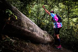 BIB: 
                            <button type="button" onclick="openModal(13525765)" class="btn btn-primary btn-sm float-right btn-popup" data-toggle="modal" data-target=".modal-high-quality">
                        <i class="fas fa-shopping-cart"></i> Add to Cart
                    </button>
                                            <button type="button" onclick="isThisMe(13525765, true)" class="btn btn-success btn-sm float-right btn-popup btn-isme hidden" data-toggle="tooltip" data-placement="bottom" title="นี่คือรูปของคุณใช่ไหม คลิกที่นี่เพื่อเอาเข้าอัลบั้ม">
                        <i class="fas fa-plus"></i> Add to album
                    </button>
                    <button type="button" onclick="isThisMe(13525765, false)" class="btn btn-warning btn-sm float-right btn-popup btn-isnotme hidden">
                        <i class="fas fa-ban"></i> Remove from album
                    </button>