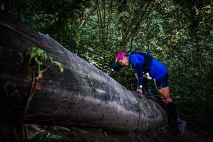 BIB: 
                            <button type="button" onclick="openModal(13519459)" class="btn btn-primary btn-sm float-right btn-popup" data-toggle="modal" data-target=".modal-high-quality">
                        <i class="fas fa-shopping-cart"></i> Add to Cart
                    </button>
                                            <button type="button" onclick="isThisMe(13519459, true)" class="btn btn-success btn-sm float-right btn-popup btn-isme hidden" data-toggle="tooltip" data-placement="bottom" title="นี่คือรูปของคุณใช่ไหม คลิกที่นี่เพื่อเอาเข้าอัลบั้ม">
                        <i class="fas fa-plus"></i> Add to album
                    </button>
                    <button type="button" onclick="isThisMe(13519459, false)" class="btn btn-warning btn-sm float-right btn-popup btn-isnotme hidden">
                        <i class="fas fa-ban"></i> Remove from album
                    </button>