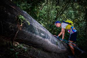 BIB: 
                            <button type="button" onclick="openModal(13519584)" class="btn btn-primary btn-sm float-right btn-popup" data-toggle="modal" data-target=".modal-high-quality">
                        <i class="fas fa-shopping-cart"></i> Add to Cart
                    </button>
                                            <button type="button" onclick="isThisMe(13519584, true)" class="btn btn-success btn-sm float-right btn-popup btn-isme hidden" data-toggle="tooltip" data-placement="bottom" title="นี่คือรูปของคุณใช่ไหม คลิกที่นี่เพื่อเอาเข้าอัลบั้ม">
                        <i class="fas fa-plus"></i> Add to album
                    </button>
                    <button type="button" onclick="isThisMe(13519584, false)" class="btn btn-warning btn-sm float-right btn-popup btn-isnotme hidden">
                        <i class="fas fa-ban"></i> Remove from album
                    </button>