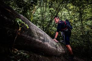 BIB: 
                            <button type="button" onclick="openModal(13523271)" class="btn btn-primary btn-sm float-right btn-popup" data-toggle="modal" data-target=".modal-high-quality">
                        <i class="fas fa-shopping-cart"></i> Add to Cart
                    </button>
                                            <button type="button" onclick="isThisMe(13523271, true)" class="btn btn-success btn-sm float-right btn-popup btn-isme hidden" data-toggle="tooltip" data-placement="bottom" title="นี่คือรูปของคุณใช่ไหม คลิกที่นี่เพื่อเอาเข้าอัลบั้ม">
                        <i class="fas fa-plus"></i> Add to album
                    </button>
                    <button type="button" onclick="isThisMe(13523271, false)" class="btn btn-warning btn-sm float-right btn-popup btn-isnotme hidden">
                        <i class="fas fa-ban"></i> Remove from album
                    </button>