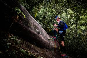 BIB: 
                            <button type="button" onclick="openModal(13525244)" class="btn btn-primary btn-sm float-right btn-popup" data-toggle="modal" data-target=".modal-high-quality">
                        <i class="fas fa-shopping-cart"></i> Add to Cart
                    </button>
                                            <button type="button" onclick="isThisMe(13525244, true)" class="btn btn-success btn-sm float-right btn-popup btn-isme hidden" data-toggle="tooltip" data-placement="bottom" title="นี่คือรูปของคุณใช่ไหม คลิกที่นี่เพื่อเอาเข้าอัลบั้ม">
                        <i class="fas fa-plus"></i> Add to album
                    </button>
                    <button type="button" onclick="isThisMe(13525244, false)" class="btn btn-warning btn-sm float-right btn-popup btn-isnotme hidden">
                        <i class="fas fa-ban"></i> Remove from album
                    </button>