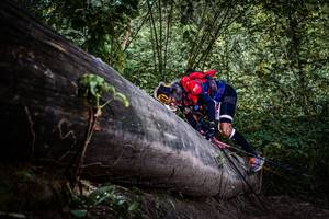 BIB: 
                            <button type="button" onclick="openModal(13520039)" class="btn btn-primary btn-sm float-right btn-popup" data-toggle="modal" data-target=".modal-high-quality">
                        <i class="fas fa-shopping-cart"></i> Add to Cart
                    </button>
                                            <button type="button" onclick="isThisMe(13520039, true)" class="btn btn-success btn-sm float-right btn-popup btn-isme hidden" data-toggle="tooltip" data-placement="bottom" title="นี่คือรูปของคุณใช่ไหม คลิกที่นี่เพื่อเอาเข้าอัลบั้ม">
                        <i class="fas fa-plus"></i> Add to album
                    </button>
                    <button type="button" onclick="isThisMe(13520039, false)" class="btn btn-warning btn-sm float-right btn-popup btn-isnotme hidden">
                        <i class="fas fa-ban"></i> Remove from album
                    </button>