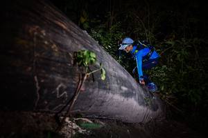 BIB: 
                            <button type="button" onclick="openModal(13517916)" class="btn btn-primary btn-sm float-right btn-popup" data-toggle="modal" data-target=".modal-high-quality">
                        <i class="fas fa-shopping-cart"></i> Add to Cart
                    </button>
                                            <button type="button" onclick="isThisMe(13517916, true)" class="btn btn-success btn-sm float-right btn-popup btn-isme hidden" data-toggle="tooltip" data-placement="bottom" title="นี่คือรูปของคุณใช่ไหม คลิกที่นี่เพื่อเอาเข้าอัลบั้ม">
                        <i class="fas fa-plus"></i> Add to album
                    </button>
                    <button type="button" onclick="isThisMe(13517916, false)" class="btn btn-warning btn-sm float-right btn-popup btn-isnotme hidden">
                        <i class="fas fa-ban"></i> Remove from album
                    </button>