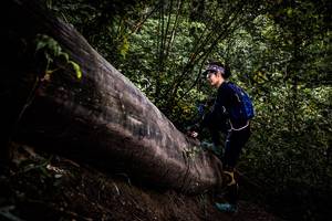 BIB: 
                            <button type="button" onclick="openModal(13525476)" class="btn btn-primary btn-sm float-right btn-popup" data-toggle="modal" data-target=".modal-high-quality">
                        <i class="fas fa-shopping-cart"></i> Add to Cart
                    </button>
                                            <button type="button" onclick="isThisMe(13525476, true)" class="btn btn-success btn-sm float-right btn-popup btn-isme hidden" data-toggle="tooltip" data-placement="bottom" title="นี่คือรูปของคุณใช่ไหม คลิกที่นี่เพื่อเอาเข้าอัลบั้ม">
                        <i class="fas fa-plus"></i> Add to album
                    </button>
                    <button type="button" onclick="isThisMe(13525476, false)" class="btn btn-warning btn-sm float-right btn-popup btn-isnotme hidden">
                        <i class="fas fa-ban"></i> Remove from album
                    </button>