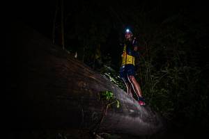 BIB: 
                            <button type="button" onclick="openModal(13518447)" class="btn btn-primary btn-sm float-right btn-popup" data-toggle="modal" data-target=".modal-high-quality">
                        <i class="fas fa-shopping-cart"></i> Add to Cart
                    </button>
                                            <button type="button" onclick="isThisMe(13518447, true)" class="btn btn-success btn-sm float-right btn-popup btn-isme hidden" data-toggle="tooltip" data-placement="bottom" title="นี่คือรูปของคุณใช่ไหม คลิกที่นี่เพื่อเอาเข้าอัลบั้ม">
                        <i class="fas fa-plus"></i> Add to album
                    </button>
                    <button type="button" onclick="isThisMe(13518447, false)" class="btn btn-warning btn-sm float-right btn-popup btn-isnotme hidden">
                        <i class="fas fa-ban"></i> Remove from album
                    </button>