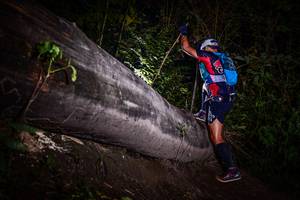 BIB: 
                            <button type="button" onclick="openModal(13518879)" class="btn btn-primary btn-sm float-right btn-popup" data-toggle="modal" data-target=".modal-high-quality">
                        <i class="fas fa-shopping-cart"></i> Add to Cart
                    </button>
                                            <button type="button" onclick="isThisMe(13518879, true)" class="btn btn-success btn-sm float-right btn-popup btn-isme hidden" data-toggle="tooltip" data-placement="bottom" title="นี่คือรูปของคุณใช่ไหม คลิกที่นี่เพื่อเอาเข้าอัลบั้ม">
                        <i class="fas fa-plus"></i> Add to album
                    </button>
                    <button type="button" onclick="isThisMe(13518879, false)" class="btn btn-warning btn-sm float-right btn-popup btn-isnotme hidden">
                        <i class="fas fa-ban"></i> Remove from album
                    </button>