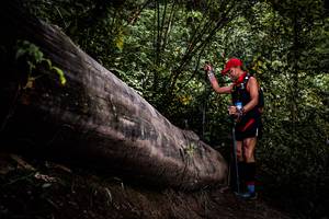 BIB: 
                            <button type="button" onclick="openModal(13525559)" class="btn btn-primary btn-sm float-right btn-popup" data-toggle="modal" data-target=".modal-high-quality">
                        <i class="fas fa-shopping-cart"></i> Add to Cart
                    </button>
                                            <button type="button" onclick="isThisMe(13525559, true)" class="btn btn-success btn-sm float-right btn-popup btn-isme hidden" data-toggle="tooltip" data-placement="bottom" title="นี่คือรูปของคุณใช่ไหม คลิกที่นี่เพื่อเอาเข้าอัลบั้ม">
                        <i class="fas fa-plus"></i> Add to album
                    </button>
                    <button type="button" onclick="isThisMe(13525559, false)" class="btn btn-warning btn-sm float-right btn-popup btn-isnotme hidden">
                        <i class="fas fa-ban"></i> Remove from album
                    </button>