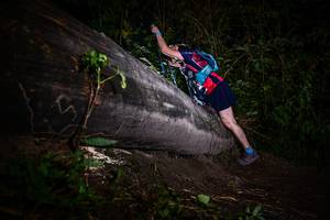 BIB: 
                            <button type="button" onclick="openModal(13518930)" class="btn btn-primary btn-sm float-right btn-popup" data-toggle="modal" data-target=".modal-high-quality">
                        <i class="fas fa-shopping-cart"></i> Add to Cart
                    </button>
                                            <button type="button" onclick="isThisMe(13518930, true)" class="btn btn-success btn-sm float-right btn-popup btn-isme hidden" data-toggle="tooltip" data-placement="bottom" title="นี่คือรูปของคุณใช่ไหม คลิกที่นี่เพื่อเอาเข้าอัลบั้ม">
                        <i class="fas fa-plus"></i> Add to album
                    </button>
                    <button type="button" onclick="isThisMe(13518930, false)" class="btn btn-warning btn-sm float-right btn-popup btn-isnotme hidden">
                        <i class="fas fa-ban"></i> Remove from album
                    </button>