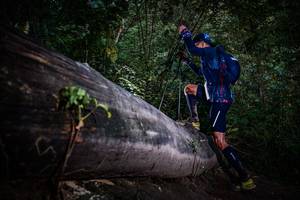 BIB: 
                            <button type="button" onclick="openModal(13519246)" class="btn btn-primary btn-sm float-right btn-popup" data-toggle="modal" data-target=".modal-high-quality">
                        <i class="fas fa-shopping-cart"></i> Add to Cart
                    </button>
                                            <button type="button" onclick="isThisMe(13519246, true)" class="btn btn-success btn-sm float-right btn-popup btn-isme hidden" data-toggle="tooltip" data-placement="bottom" title="นี่คือรูปของคุณใช่ไหม คลิกที่นี่เพื่อเอาเข้าอัลบั้ม">
                        <i class="fas fa-plus"></i> Add to album
                    </button>
                    <button type="button" onclick="isThisMe(13519246, false)" class="btn btn-warning btn-sm float-right btn-popup btn-isnotme hidden">
                        <i class="fas fa-ban"></i> Remove from album
                    </button>