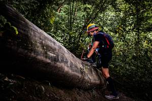 BIB: 
                            <button type="button" onclick="openModal(13525679)" class="btn btn-primary btn-sm float-right btn-popup" data-toggle="modal" data-target=".modal-high-quality">
                        <i class="fas fa-shopping-cart"></i> Add to Cart
                    </button>
                                            <button type="button" onclick="isThisMe(13525679, true)" class="btn btn-success btn-sm float-right btn-popup btn-isme hidden" data-toggle="tooltip" data-placement="bottom" title="นี่คือรูปของคุณใช่ไหม คลิกที่นี่เพื่อเอาเข้าอัลบั้ม">
                        <i class="fas fa-plus"></i> Add to album
                    </button>
                    <button type="button" onclick="isThisMe(13525679, false)" class="btn btn-warning btn-sm float-right btn-popup btn-isnotme hidden">
                        <i class="fas fa-ban"></i> Remove from album
                    </button>