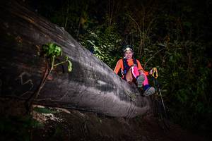 BIB: 
                            <button type="button" onclick="openModal(13518990)" class="btn btn-primary btn-sm float-right btn-popup" data-toggle="modal" data-target=".modal-high-quality">
                        <i class="fas fa-shopping-cart"></i> Add to Cart
                    </button>
                                            <button type="button" onclick="isThisMe(13518990, true)" class="btn btn-success btn-sm float-right btn-popup btn-isme hidden" data-toggle="tooltip" data-placement="bottom" title="นี่คือรูปของคุณใช่ไหม คลิกที่นี่เพื่อเอาเข้าอัลบั้ม">
                        <i class="fas fa-plus"></i> Add to album
                    </button>
                    <button type="button" onclick="isThisMe(13518990, false)" class="btn btn-warning btn-sm float-right btn-popup btn-isnotme hidden">
                        <i class="fas fa-ban"></i> Remove from album
                    </button>