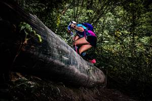 BIB: 
                            <button type="button" onclick="openModal(13525379)" class="btn btn-primary btn-sm float-right btn-popup" data-toggle="modal" data-target=".modal-high-quality">
                        <i class="fas fa-shopping-cart"></i> Add to Cart
                    </button>
                                            <button type="button" onclick="isThisMe(13525379, true)" class="btn btn-success btn-sm float-right btn-popup btn-isme hidden" data-toggle="tooltip" data-placement="bottom" title="นี่คือรูปของคุณใช่ไหม คลิกที่นี่เพื่อเอาเข้าอัลบั้ม">
                        <i class="fas fa-plus"></i> Add to album
                    </button>
                    <button type="button" onclick="isThisMe(13525379, false)" class="btn btn-warning btn-sm float-right btn-popup btn-isnotme hidden">
                        <i class="fas fa-ban"></i> Remove from album
                    </button>