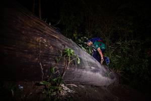 BIB: 
                            <button type="button" onclick="openModal(13517626)" class="btn btn-primary btn-sm float-right btn-popup" data-toggle="modal" data-target=".modal-high-quality">
                        <i class="fas fa-shopping-cart"></i> Add to Cart
                    </button>
                                            <button type="button" onclick="isThisMe(13517626, true)" class="btn btn-success btn-sm float-right btn-popup btn-isme hidden" data-toggle="tooltip" data-placement="bottom" title="นี่คือรูปของคุณใช่ไหม คลิกที่นี่เพื่อเอาเข้าอัลบั้ม">
                        <i class="fas fa-plus"></i> Add to album
                    </button>
                    <button type="button" onclick="isThisMe(13517626, false)" class="btn btn-warning btn-sm float-right btn-popup btn-isnotme hidden">
                        <i class="fas fa-ban"></i> Remove from album
                    </button>