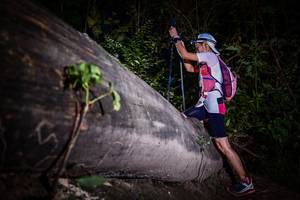 BIB: 
                            <button type="button" onclick="openModal(13517743)" class="btn btn-primary btn-sm float-right btn-popup" data-toggle="modal" data-target=".modal-high-quality">
                        <i class="fas fa-shopping-cart"></i> Add to Cart
                    </button>
                                            <button type="button" onclick="isThisMe(13517743, true)" class="btn btn-success btn-sm float-right btn-popup btn-isme hidden" data-toggle="tooltip" data-placement="bottom" title="นี่คือรูปของคุณใช่ไหม คลิกที่นี่เพื่อเอาเข้าอัลบั้ม">
                        <i class="fas fa-plus"></i> Add to album
                    </button>
                    <button type="button" onclick="isThisMe(13517743, false)" class="btn btn-warning btn-sm float-right btn-popup btn-isnotme hidden">
                        <i class="fas fa-ban"></i> Remove from album
                    </button>