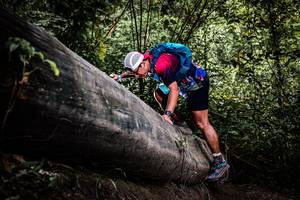 BIB: 
                            <button type="button" onclick="openModal(13523799)" class="btn btn-primary btn-sm float-right btn-popup" data-toggle="modal" data-target=".modal-high-quality">
                        <i class="fas fa-shopping-cart"></i> Add to Cart
                    </button>
                                            <button type="button" onclick="isThisMe(13523799, true)" class="btn btn-success btn-sm float-right btn-popup btn-isme hidden" data-toggle="tooltip" data-placement="bottom" title="นี่คือรูปของคุณใช่ไหม คลิกที่นี่เพื่อเอาเข้าอัลบั้ม">
                        <i class="fas fa-plus"></i> Add to album
                    </button>
                    <button type="button" onclick="isThisMe(13523799, false)" class="btn btn-warning btn-sm float-right btn-popup btn-isnotme hidden">
                        <i class="fas fa-ban"></i> Remove from album
                    </button>