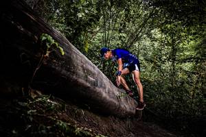 BIB: 
                            <button type="button" onclick="openModal(13525314)" class="btn btn-primary btn-sm float-right btn-popup" data-toggle="modal" data-target=".modal-high-quality">
                        <i class="fas fa-shopping-cart"></i> Add to Cart
                    </button>
                                            <button type="button" onclick="isThisMe(13525314, true)" class="btn btn-success btn-sm float-right btn-popup btn-isme hidden" data-toggle="tooltip" data-placement="bottom" title="นี่คือรูปของคุณใช่ไหม คลิกที่นี่เพื่อเอาเข้าอัลบั้ม">
                        <i class="fas fa-plus"></i> Add to album
                    </button>
                    <button type="button" onclick="isThisMe(13525314, false)" class="btn btn-warning btn-sm float-right btn-popup btn-isnotme hidden">
                        <i class="fas fa-ban"></i> Remove from album
                    </button>