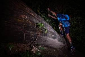 BIB: 
                            <button type="button" onclick="openModal(13517936)" class="btn btn-primary btn-sm float-right btn-popup" data-toggle="modal" data-target=".modal-high-quality">
                        <i class="fas fa-shopping-cart"></i> Add to Cart
                    </button>
                                            <button type="button" onclick="isThisMe(13517936, true)" class="btn btn-success btn-sm float-right btn-popup btn-isme hidden" data-toggle="tooltip" data-placement="bottom" title="นี่คือรูปของคุณใช่ไหม คลิกที่นี่เพื่อเอาเข้าอัลบั้ม">
                        <i class="fas fa-plus"></i> Add to album
                    </button>
                    <button type="button" onclick="isThisMe(13517936, false)" class="btn btn-warning btn-sm float-right btn-popup btn-isnotme hidden">
                        <i class="fas fa-ban"></i> Remove from album
                    </button>