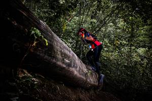 BIB: 
                            <button type="button" onclick="openModal(13525455)" class="btn btn-primary btn-sm float-right btn-popup" data-toggle="modal" data-target=".modal-high-quality">
                        <i class="fas fa-shopping-cart"></i> Add to Cart
                    </button>
                                            <button type="button" onclick="isThisMe(13525455, true)" class="btn btn-success btn-sm float-right btn-popup btn-isme hidden" data-toggle="tooltip" data-placement="bottom" title="นี่คือรูปของคุณใช่ไหม คลิกที่นี่เพื่อเอาเข้าอัลบั้ม">
                        <i class="fas fa-plus"></i> Add to album
                    </button>
                    <button type="button" onclick="isThisMe(13525455, false)" class="btn btn-warning btn-sm float-right btn-popup btn-isnotme hidden">
                        <i class="fas fa-ban"></i> Remove from album
                    </button>