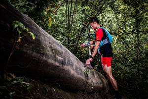 BIB: 
                            <button type="button" onclick="openModal(13523517)" class="btn btn-primary btn-sm float-right btn-popup" data-toggle="modal" data-target=".modal-high-quality">
                        <i class="fas fa-shopping-cart"></i> Add to Cart
                    </button>
                                            <button type="button" onclick="isThisMe(13523517, true)" class="btn btn-success btn-sm float-right btn-popup btn-isme hidden" data-toggle="tooltip" data-placement="bottom" title="นี่คือรูปของคุณใช่ไหม คลิกที่นี่เพื่อเอาเข้าอัลบั้ม">
                        <i class="fas fa-plus"></i> Add to album
                    </button>
                    <button type="button" onclick="isThisMe(13523517, false)" class="btn btn-warning btn-sm float-right btn-popup btn-isnotme hidden">
                        <i class="fas fa-ban"></i> Remove from album
                    </button>