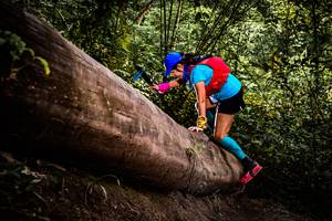 BIB: 
                            <button type="button" onclick="openModal(13525759)" class="btn btn-primary btn-sm float-right btn-popup" data-toggle="modal" data-target=".modal-high-quality">
                        <i class="fas fa-shopping-cart"></i> Add to Cart
                    </button>
                                            <button type="button" onclick="isThisMe(13525759, true)" class="btn btn-success btn-sm float-right btn-popup btn-isme hidden" data-toggle="tooltip" data-placement="bottom" title="นี่คือรูปของคุณใช่ไหม คลิกที่นี่เพื่อเอาเข้าอัลบั้ม">
                        <i class="fas fa-plus"></i> Add to album
                    </button>
                    <button type="button" onclick="isThisMe(13525759, false)" class="btn btn-warning btn-sm float-right btn-popup btn-isnotme hidden">
                        <i class="fas fa-ban"></i> Remove from album
                    </button>