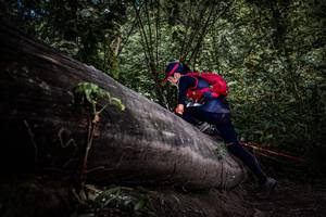 BIB: 
                            <button type="button" onclick="openModal(13522744)" class="btn btn-primary btn-sm float-right btn-popup" data-toggle="modal" data-target=".modal-high-quality">
                        <i class="fas fa-shopping-cart"></i> Add to Cart
                    </button>
                                            <button type="button" onclick="isThisMe(13522744, true)" class="btn btn-success btn-sm float-right btn-popup btn-isme hidden" data-toggle="tooltip" data-placement="bottom" title="นี่คือรูปของคุณใช่ไหม คลิกที่นี่เพื่อเอาเข้าอัลบั้ม">
                        <i class="fas fa-plus"></i> Add to album
                    </button>
                    <button type="button" onclick="isThisMe(13522744, false)" class="btn btn-warning btn-sm float-right btn-popup btn-isnotme hidden">
                        <i class="fas fa-ban"></i> Remove from album
                    </button>