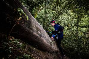 BIB: 
                            <button type="button" onclick="openModal(13523909)" class="btn btn-primary btn-sm float-right btn-popup" data-toggle="modal" data-target=".modal-high-quality">
                        <i class="fas fa-shopping-cart"></i> Add to Cart
                    </button>
                                            <button type="button" onclick="isThisMe(13523909, true)" class="btn btn-success btn-sm float-right btn-popup btn-isme hidden" data-toggle="tooltip" data-placement="bottom" title="นี่คือรูปของคุณใช่ไหม คลิกที่นี่เพื่อเอาเข้าอัลบั้ม">
                        <i class="fas fa-plus"></i> Add to album
                    </button>
                    <button type="button" onclick="isThisMe(13523909, false)" class="btn btn-warning btn-sm float-right btn-popup btn-isnotme hidden">
                        <i class="fas fa-ban"></i> Remove from album
                    </button>