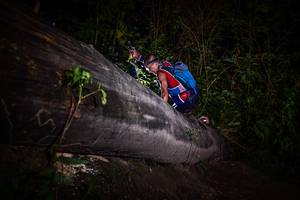 BIB: 
                            <button type="button" onclick="openModal(13518995)" class="btn btn-primary btn-sm float-right btn-popup" data-toggle="modal" data-target=".modal-high-quality">
                        <i class="fas fa-shopping-cart"></i> Add to Cart
                    </button>
                                            <button type="button" onclick="isThisMe(13518995, true)" class="btn btn-success btn-sm float-right btn-popup btn-isme hidden" data-toggle="tooltip" data-placement="bottom" title="นี่คือรูปของคุณใช่ไหม คลิกที่นี่เพื่อเอาเข้าอัลบั้ม">
                        <i class="fas fa-plus"></i> Add to album
                    </button>
                    <button type="button" onclick="isThisMe(13518995, false)" class="btn btn-warning btn-sm float-right btn-popup btn-isnotme hidden">
                        <i class="fas fa-ban"></i> Remove from album
                    </button>