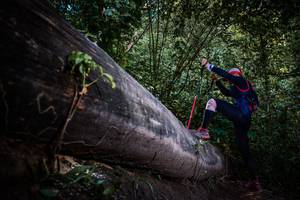 BIB: 
                            <button type="button" onclick="openModal(13519684)" class="btn btn-primary btn-sm float-right btn-popup" data-toggle="modal" data-target=".modal-high-quality">
                        <i class="fas fa-shopping-cart"></i> Add to Cart
                    </button>
                                            <button type="button" onclick="isThisMe(13519684, true)" class="btn btn-success btn-sm float-right btn-popup btn-isme hidden" data-toggle="tooltip" data-placement="bottom" title="นี่คือรูปของคุณใช่ไหม คลิกที่นี่เพื่อเอาเข้าอัลบั้ม">
                        <i class="fas fa-plus"></i> Add to album
                    </button>
                    <button type="button" onclick="isThisMe(13519684, false)" class="btn btn-warning btn-sm float-right btn-popup btn-isnotme hidden">
                        <i class="fas fa-ban"></i> Remove from album
                    </button>