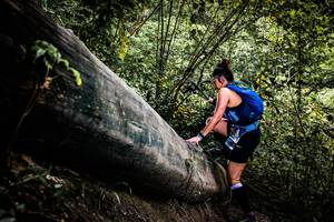 BIB: 
                            <button type="button" onclick="openModal(13525850)" class="btn btn-primary btn-sm float-right btn-popup" data-toggle="modal" data-target=".modal-high-quality">
                        <i class="fas fa-shopping-cart"></i> Add to Cart
                    </button>
                                            <button type="button" onclick="isThisMe(13525850, true)" class="btn btn-success btn-sm float-right btn-popup btn-isme hidden" data-toggle="tooltip" data-placement="bottom" title="นี่คือรูปของคุณใช่ไหม คลิกที่นี่เพื่อเอาเข้าอัลบั้ม">
                        <i class="fas fa-plus"></i> Add to album
                    </button>
                    <button type="button" onclick="isThisMe(13525850, false)" class="btn btn-warning btn-sm float-right btn-popup btn-isnotme hidden">
                        <i class="fas fa-ban"></i> Remove from album
                    </button>