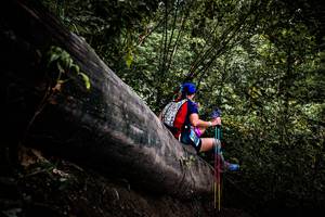 BIB: 
                            <button type="button" onclick="openModal(13525490)" class="btn btn-primary btn-sm float-right btn-popup" data-toggle="modal" data-target=".modal-high-quality">
                        <i class="fas fa-shopping-cart"></i> Add to Cart
                    </button>
                                            <button type="button" onclick="isThisMe(13525490, true)" class="btn btn-success btn-sm float-right btn-popup btn-isme hidden" data-toggle="tooltip" data-placement="bottom" title="นี่คือรูปของคุณใช่ไหม คลิกที่นี่เพื่อเอาเข้าอัลบั้ม">
                        <i class="fas fa-plus"></i> Add to album
                    </button>
                    <button type="button" onclick="isThisMe(13525490, false)" class="btn btn-warning btn-sm float-right btn-popup btn-isnotme hidden">
                        <i class="fas fa-ban"></i> Remove from album
                    </button>