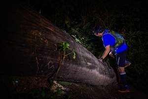 BIB: 
                            <button type="button" onclick="openModal(13517946)" class="btn btn-primary btn-sm float-right btn-popup" data-toggle="modal" data-target=".modal-high-quality">
                        <i class="fas fa-shopping-cart"></i> Add to Cart
                    </button>
                                            <button type="button" onclick="isThisMe(13517946, true)" class="btn btn-success btn-sm float-right btn-popup btn-isme hidden" data-toggle="tooltip" data-placement="bottom" title="นี่คือรูปของคุณใช่ไหม คลิกที่นี่เพื่อเอาเข้าอัลบั้ม">
                        <i class="fas fa-plus"></i> Add to album
                    </button>
                    <button type="button" onclick="isThisMe(13517946, false)" class="btn btn-warning btn-sm float-right btn-popup btn-isnotme hidden">
                        <i class="fas fa-ban"></i> Remove from album
                    </button>