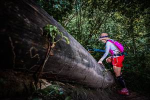 BIB: 
                            <button type="button" onclick="openModal(13519653)" class="btn btn-primary btn-sm float-right btn-popup" data-toggle="modal" data-target=".modal-high-quality">
                        <i class="fas fa-shopping-cart"></i> Add to Cart
                    </button>
                                            <button type="button" onclick="isThisMe(13519653, true)" class="btn btn-success btn-sm float-right btn-popup btn-isme hidden" data-toggle="tooltip" data-placement="bottom" title="นี่คือรูปของคุณใช่ไหม คลิกที่นี่เพื่อเอาเข้าอัลบั้ม">
                        <i class="fas fa-plus"></i> Add to album
                    </button>
                    <button type="button" onclick="isThisMe(13519653, false)" class="btn btn-warning btn-sm float-right btn-popup btn-isnotme hidden">
                        <i class="fas fa-ban"></i> Remove from album
                    </button>