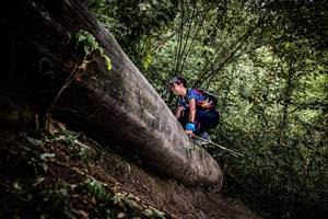 BIB: 
                            <button type="button" onclick="openModal(13524085)" class="btn btn-primary btn-sm float-right btn-popup" data-toggle="modal" data-target=".modal-high-quality">
                        <i class="fas fa-shopping-cart"></i> Add to Cart
                    </button>
                                            <button type="button" onclick="isThisMe(13524085, true)" class="btn btn-success btn-sm float-right btn-popup btn-isme hidden" data-toggle="tooltip" data-placement="bottom" title="นี่คือรูปของคุณใช่ไหม คลิกที่นี่เพื่อเอาเข้าอัลบั้ม">
                        <i class="fas fa-plus"></i> Add to album
                    </button>
                    <button type="button" onclick="isThisMe(13524085, false)" class="btn btn-warning btn-sm float-right btn-popup btn-isnotme hidden">
                        <i class="fas fa-ban"></i> Remove from album
                    </button>