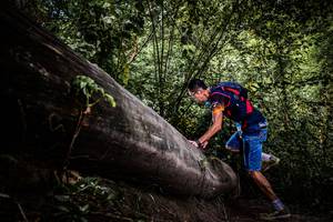 BIB: 
                            <button type="button" onclick="openModal(13523246)" class="btn btn-primary btn-sm float-right btn-popup" data-toggle="modal" data-target=".modal-high-quality">
                        <i class="fas fa-shopping-cart"></i> Add to Cart
                    </button>
                                            <button type="button" onclick="isThisMe(13523246, true)" class="btn btn-success btn-sm float-right btn-popup btn-isme hidden" data-toggle="tooltip" data-placement="bottom" title="นี่คือรูปของคุณใช่ไหม คลิกที่นี่เพื่อเอาเข้าอัลบั้ม">
                        <i class="fas fa-plus"></i> Add to album
                    </button>
                    <button type="button" onclick="isThisMe(13523246, false)" class="btn btn-warning btn-sm float-right btn-popup btn-isnotme hidden">
                        <i class="fas fa-ban"></i> Remove from album
                    </button>