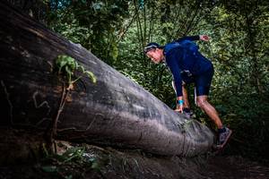 BIB: 
                            <button type="button" onclick="openModal(13519858)" class="btn btn-primary btn-sm float-right btn-popup" data-toggle="modal" data-target=".modal-high-quality">
                        <i class="fas fa-shopping-cart"></i> Add to Cart
                    </button>
                                            <button type="button" onclick="isThisMe(13519858, true)" class="btn btn-success btn-sm float-right btn-popup btn-isme hidden" data-toggle="tooltip" data-placement="bottom" title="นี่คือรูปของคุณใช่ไหม คลิกที่นี่เพื่อเอาเข้าอัลบั้ม">
                        <i class="fas fa-plus"></i> Add to album
                    </button>
                    <button type="button" onclick="isThisMe(13519858, false)" class="btn btn-warning btn-sm float-right btn-popup btn-isnotme hidden">
                        <i class="fas fa-ban"></i> Remove from album
                    </button>